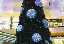 christmas trees 07